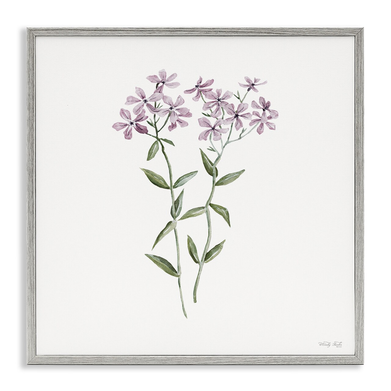 Stupell Industries Purple Phlox Botanical Framed Giclee, design by Cindy Jacobs